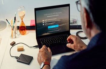 Disque Dur Externe Portable WESTERN DISGITAL WD Elements