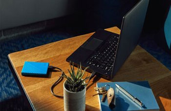 Disque Dur Externe Portable WESTERN DISGITAL WD Elements