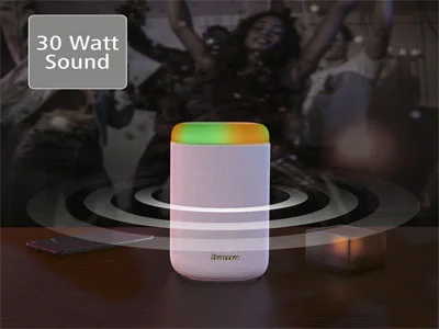 Enceinte Sans Fil HAMA 