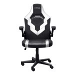Chaise Gaming TRUST GXT703W RIYE Avec Accoudoirs - Noir et Blanc