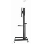 Support Au Sol Avec Roulettes GEMBIRD TVS-70T-02 Pour Tv 37"-70"