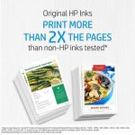 Bouteille d'encre Original Authentique HP GT53XL 135 mL - Noir