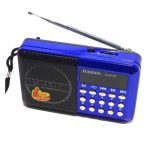 Radio Sans Fil YUEGAN YG011BT – Bleu