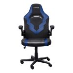 Chaise Gaming TRUST GXT703B RIYE Avec Accoudoirs - Noir et Bleu