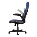Chaise Gaming TRUST GXT703B RIYE Avec Accoudoirs - Noir et Bleu
