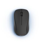 Souris Sans Fil HAMA MW-300 V2 - Noir